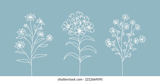Flower vector illustration - Blooming flowers - Line drawing