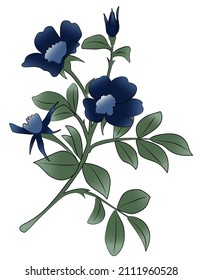 Ilustración vectorial de flores. Flor de maíz azul