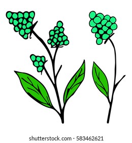 Flower vector illustration. Cloth design, wallpaper, wrapping, textiles, paper, cards, invitations, holiday