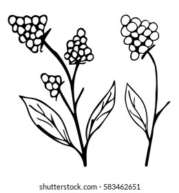 Flower vector illustration. Cloth design, wallpaper, wrapping, textiles, paper, cards, invitations, holiday