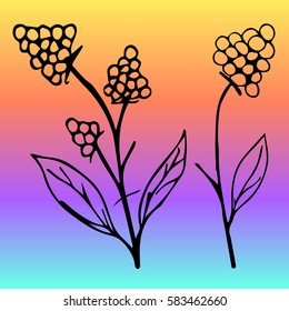 Flower vector illustration. Cloth design, wallpaper, wrapping, textiles, paper, cards, invitations, holiday