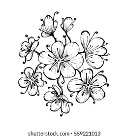 flower vector illustration, decorative card cherry