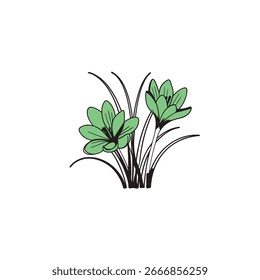 Flower is vector illustration design