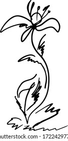 Blumenvektorgrafik. Doodle-Stil für Design, Druck, Logo, Dekoration, Textilien, Papier.
