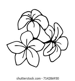 Flower vector illustration. Doodle style. Design icon, print, logo, poster, symbol, decor, textile, paper, card. 