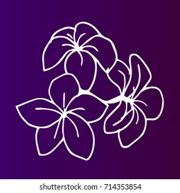 Flower vector illustration. Doodle style. Design icon, print, logo, poster, symbol, decor, textile, paper, card. 