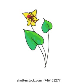Flower vector illustration. Doodle style. Design, print, logo, decor, textile, paper.