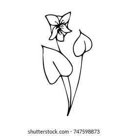Flower vector illustration. Doodle style. Design, print, logo, decor, textile, paper.