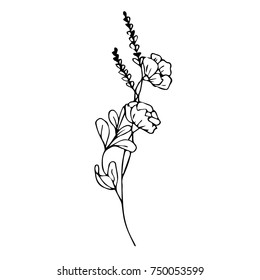 Flower vector illustration. Doodle style. Design, print, logo, decor, textile, paper.