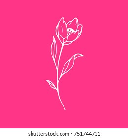 Flower vector illustration. Doodle style. Design, print, logo, decor, textile, paper.