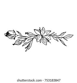 Flower vector illustration. Doodle style. Design, print, logo, decor, textile, paper.