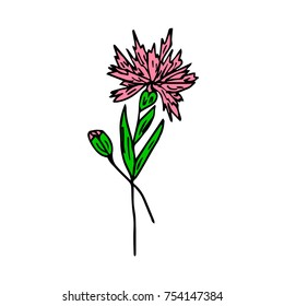 Flower vector illustration. Doodle style. Design, print, logo, decor, textile, paper.