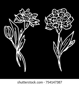 Flower vector illustration. Doodle style. Design, print, logo, decor, textile, paper.