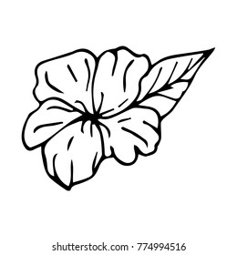 Flower vector illustration. Doodle style. Design, print, decor, textile, paper