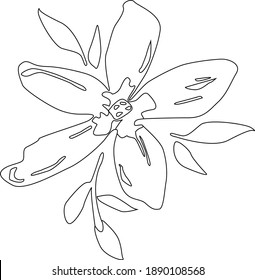 flower vector illustration, great for making children's coloring books