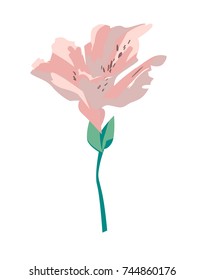 Flower vector illustration, Hand Drawn Beautiful Decorative Flower, Element for design, Sketch.