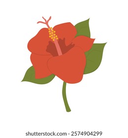 Flower Vector Illustration - Hibiscus