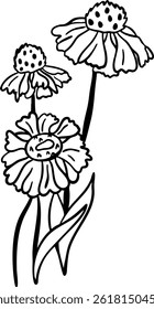 Ilustração de vetor de flor isolada sobre fundo branco. 
