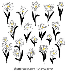 Flower vector illustration material abstract beautifully