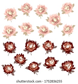 Flower vector illustration material abstract beautifully,