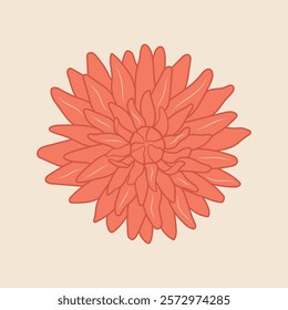 Flower vector illustration. Outline dahlia bloom with layered petals colored in warm orange tone on beige background. Decorative floral design for print, botanical home decor in flat minimalist style