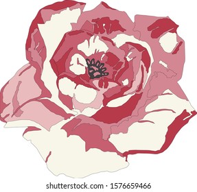 Flower vector illustration. Red, black, milky and pink flower isolated on white background. Flat design