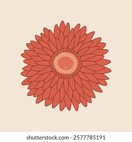 Flower vector illustration. Red Chrysanthemum bloom with detailed petals on pastel beige background. Decorative modern botanical design for print, floral home decor, card in flat minimalist style