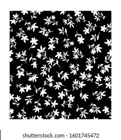 flower vector illustration. Seamless pattern with white flowers on a black background.