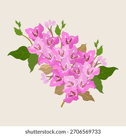 Conjunto de Ilustración vectorial de flores colección Diseño de arte botánico Dibujo gráfico Dibujado a mano Bosquejo Plantilla Naturaleza Vintage Moderno