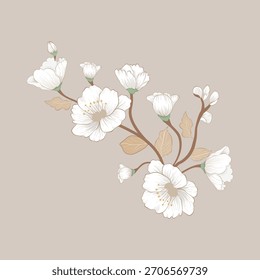 flower vector illustration set collection botanical art design graphic drawing hand drawn sketch template nature vintage modern