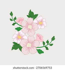 Conjunto de Ilustración vectorial de flores colección Diseño de arte botánico Dibujo gráfico Dibujado a mano Bosquejo Plantilla Naturaleza Vintage Moderno