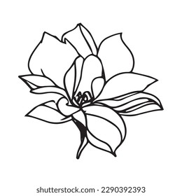 Flower Vector Illustration. Suitable For Web Design, Logo, App