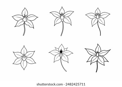 Flower vector illustrations is vibrant graphics capture the beauty of flowers in a variety of styles, making them ideal for digital and print media, including invitations, posters, and web design.