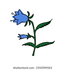 flower vector image. bluebell flower on a white background. eps