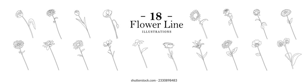 Blumenvektor. Illustrationen zur Blumenlinie. Dekoration.