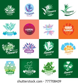 flower vector logo