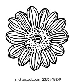 Flower Vector in Minimal Line Art Drawing 