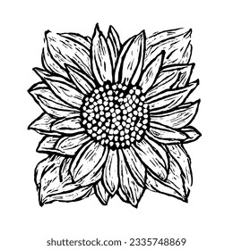 Vector de flores en dibujo de líneas mínimas 