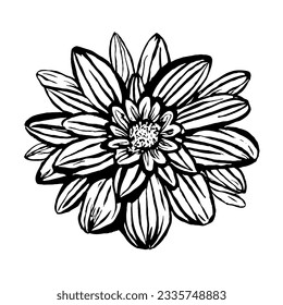 Flower Vector in Minimal Line Art Drawing 