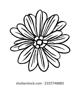 Flower Vector in Minimal Line Art Drawing 