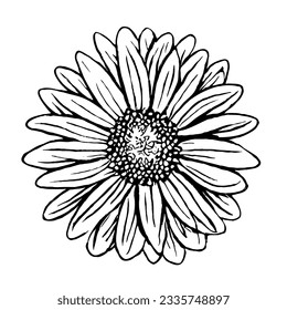 Vector de flores en dibujo de líneas mínimas 