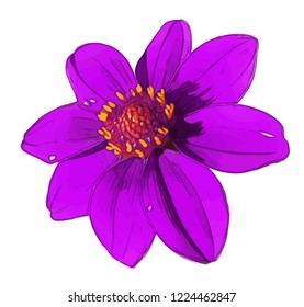 Flower. Vector flower on a white background. Element for floral design and natural background.
