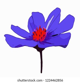 Flower. Vector flower on a white background. Element for floral design and natural background.