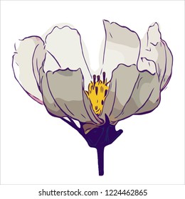 Flower. Vector flower on a white background. Element for floral design and natural background.