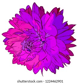 Flower. Vector flower on a white background. Element for floral design and natural background.