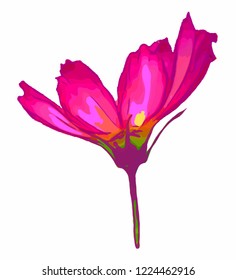 Flower. Vector flower on a white background. Element for floral design and natural background.