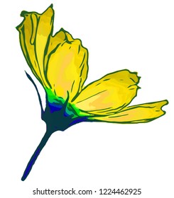 Flower. Vector flower on a white background. Element for floral design and natural background.