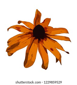 Flower. Vector flower on a white background. Element for floral design and natural background.