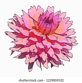 Flower. Vector flower on a white background. Element for floral design and natural background.