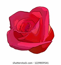 Flower. Vector flower on a white background. Element for floral design and natural background.